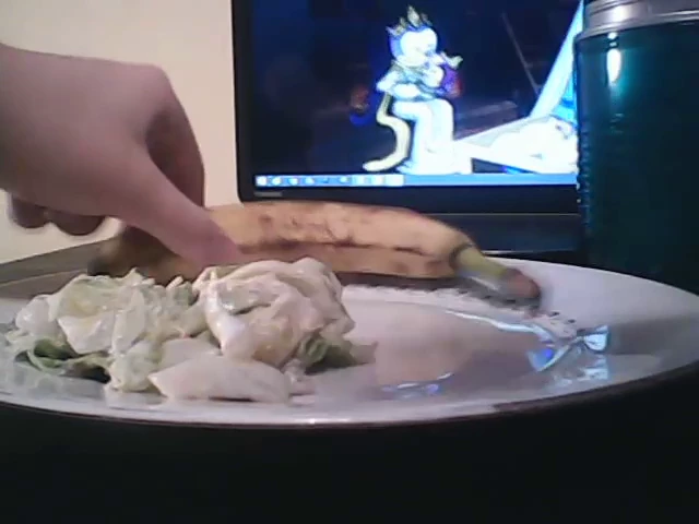 Me Eating Lunch While Watching Sonic Underground